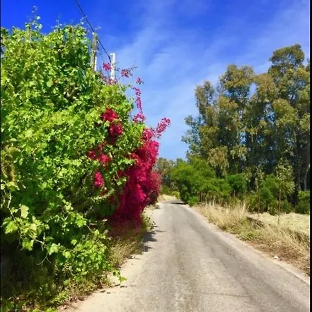 Playa Lejlighed Catania